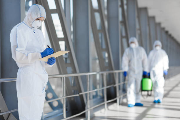 Best Environmental Consulting for Mold Prevention  in Beechwood, MS