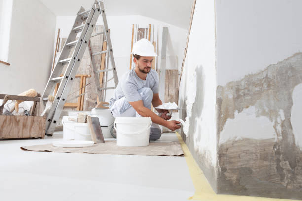 Beechwood, MS Mold Removal Company